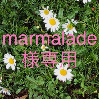 【marmalade様専用】🎀透明アクアマリン使用、人気運・恋愛運ブレスレット(ブレスレット/バングル)