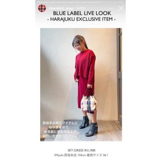 バーバリーブルーレーベル(BURBERRY BLUE LABEL)の専用出品（購入者様が決まっています）(ひざ丈ワンピース)