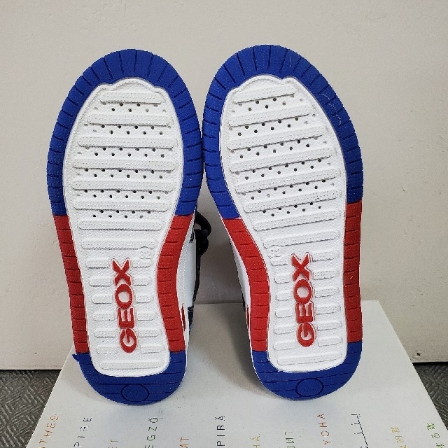 GEOX　KIDSスニーカー20.5 キッズ/ベビー/マタニティのキッズ靴/シューズ(15cm~)(スニーカー)の商品写真