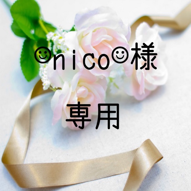 ☺︎nico☺︎様専用 お米 令和3年 愛媛県産コシヒカリ 白米 30㎏