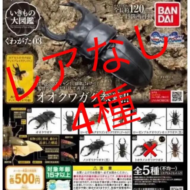 レアなし4種】いきもの大図鑑くわがた03 バンダイの通販 by ガチャ丸