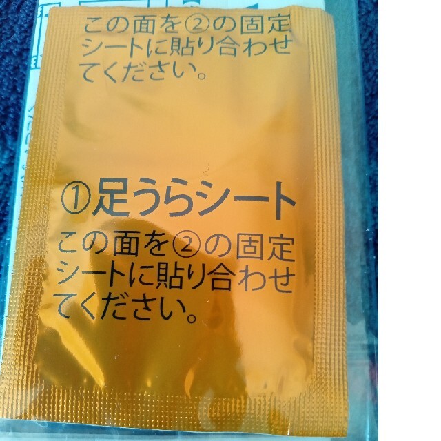 セイワ膝サポーターＭ レディースのレッグウェア(その他)の商品写真