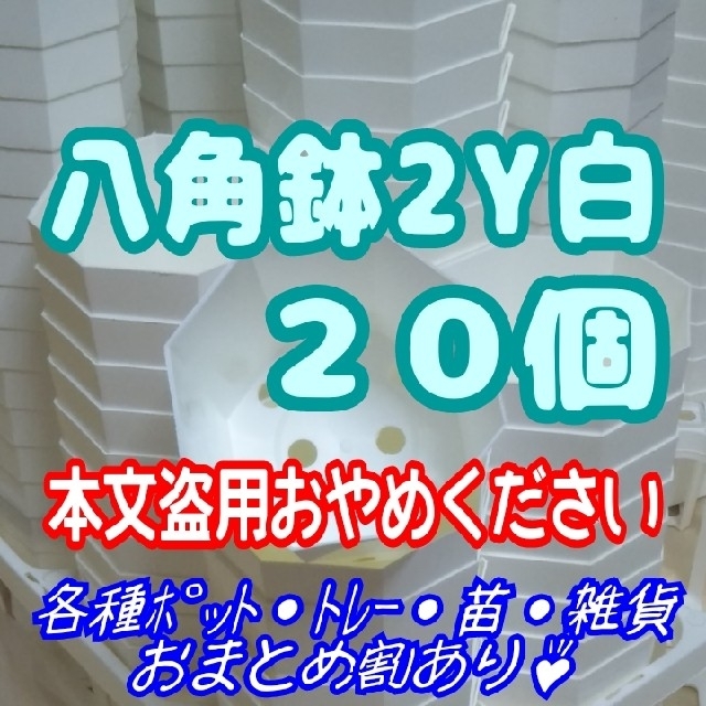 カネヤ【2Y】八角鉢 白 20個 プラ鉢 スリット鉢 プレステラ 多肉植物 ハンドメイドのフラワー/ガーデン(プランター)の商品写真