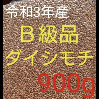 令和3年産 ダイシモチ 玄麦(米/穀物)