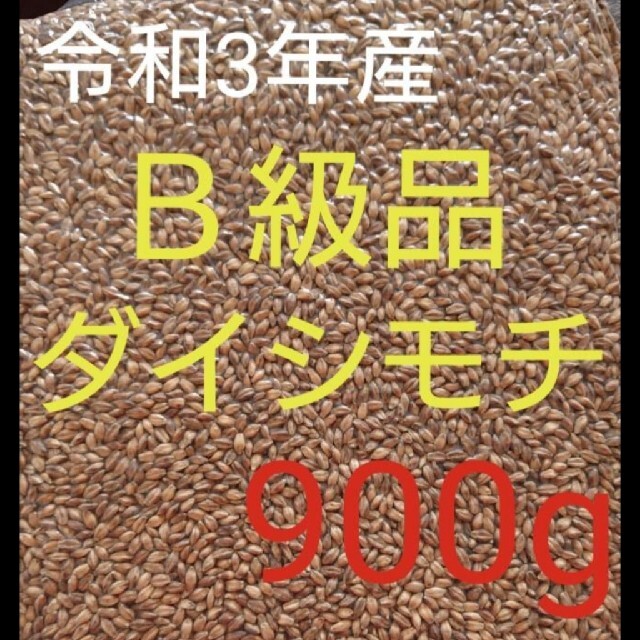 令和3年産 ダイシモチ 玄麦 食品/飲料/酒の食品(米/穀物)の商品写真