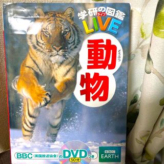 学研の図鑑LIVE  動物 DVD付き(絵本/児童書)