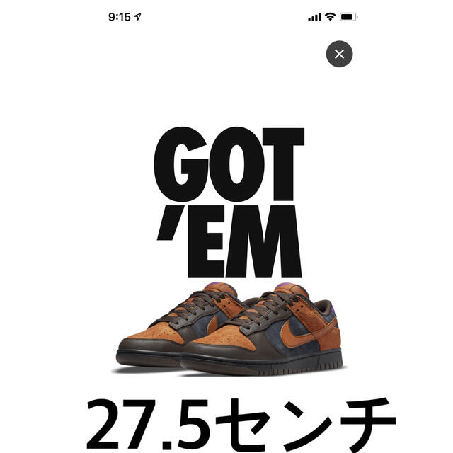 NIKE DUNK LOW PRM "CIDER"  27.5センチ