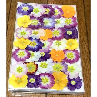 き③ 銀の紫陽花が作ったふんわり可愛い春色プリムラのドライフラワー(ドライフラワー)