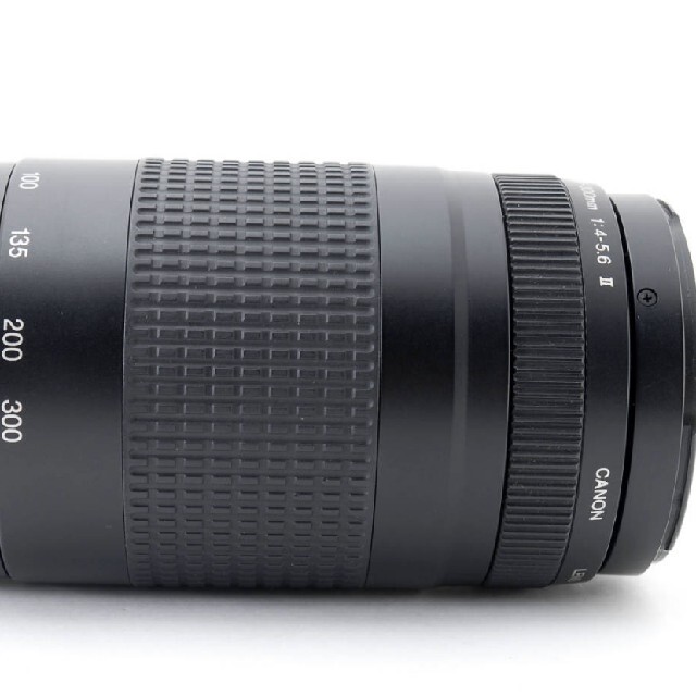 当社オリジナル 【超望遠レンズ】Canon EF 75-300mm Ⅱ 超望遠レンズ