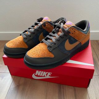 ナイキ(NIKE)のNIKE DUNK PRM CIDER(スニーカー)