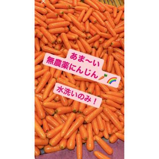 採れたて　あま〜い　無農薬　栄養満点　にんじん(野菜)