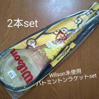 wilson from cast away wilson from cast away
