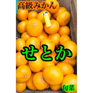 せとか   高級みかん   2kg以上(フルーツ)