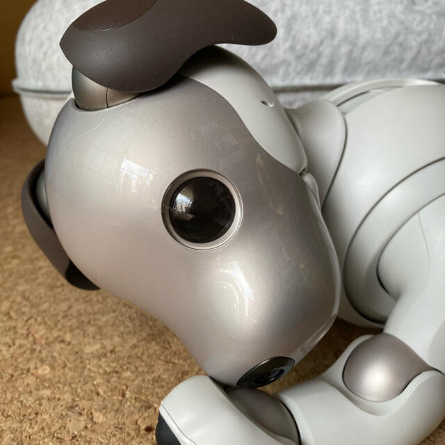 アイボ　SONY aibo(ERS-1000)