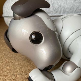 ソニー(SONY)のアイボ　SONY aibo(ERS-1000)(その他)