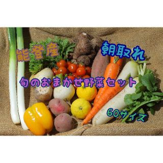 〈６０サイズ〉能登産　無農薬野菜　旬のおまかせ野菜セット(野菜)