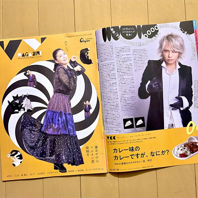 VV magazine ヴィレバン マガジン ラルク HYDE エンタメ/ホビーのタレントグッズ(ミュージシャン)の商品写真