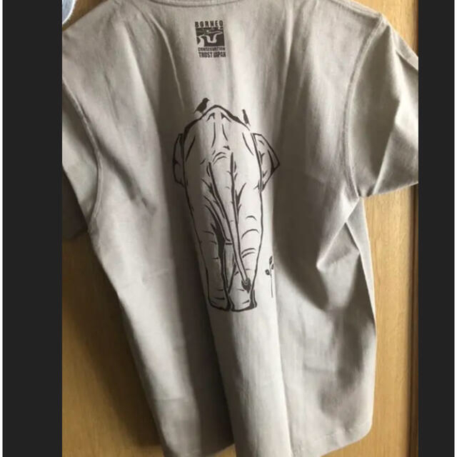 mont bell(モンベル)のモンベル　Tシャツ レディースのトップス(Tシャツ(半袖/袖なし))の商品写真