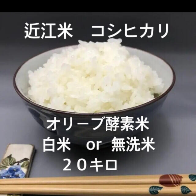 無洗米　近江米　オリーブ酵素米　コシヒカリ　殺菌殺虫剤散布無し　白米　米/穀物