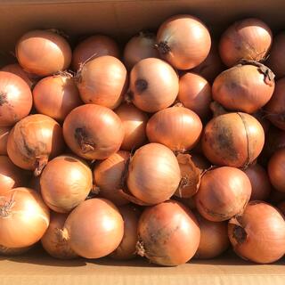 玉ねぎ  北海道産   秀品Mサイズ  約5kg  (野菜)
