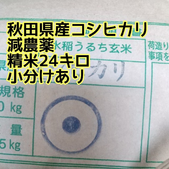 コシヒカリ精米24キロ　米/穀物
