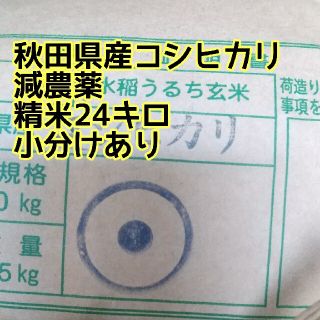 コシヒカリ精米２４キロ減農薬(米/穀物)