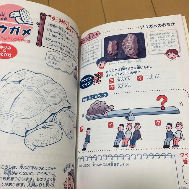 動物園わくわくワ－ク クイズ＆ぬりえ エンタメ/ホビーの本(絵本/児童書)の商品写真