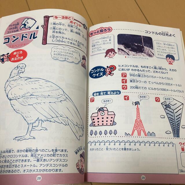 動物園わくわくワ－ク クイズ＆ぬりえ エンタメ/ホビーの本(絵本/児童書)の商品写真