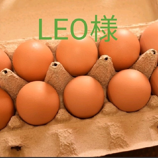 LEO様専用　平飼いたまご50個 食品/飲料/酒の食品(野菜)の商品写真