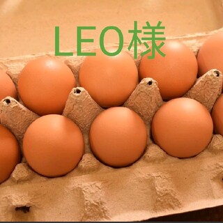 LEO様専用　平飼いたまご50個(野菜)