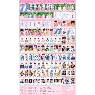 seventeen follow ウィンドブレーカーMサイズ&トレカ13枚セット