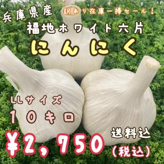 在庫一掃！【兵庫県産】福地ホワイト六片種にんにくLLサイズ10kg(野菜)