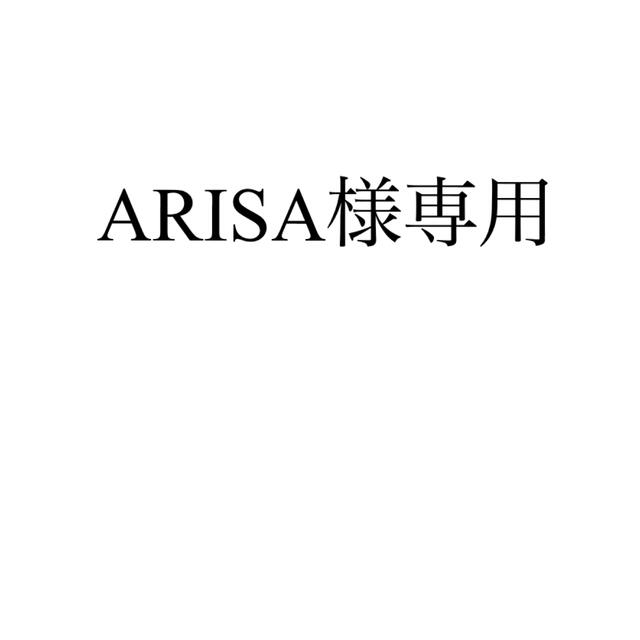 大流行中！ ARISA様専用＊ -その他