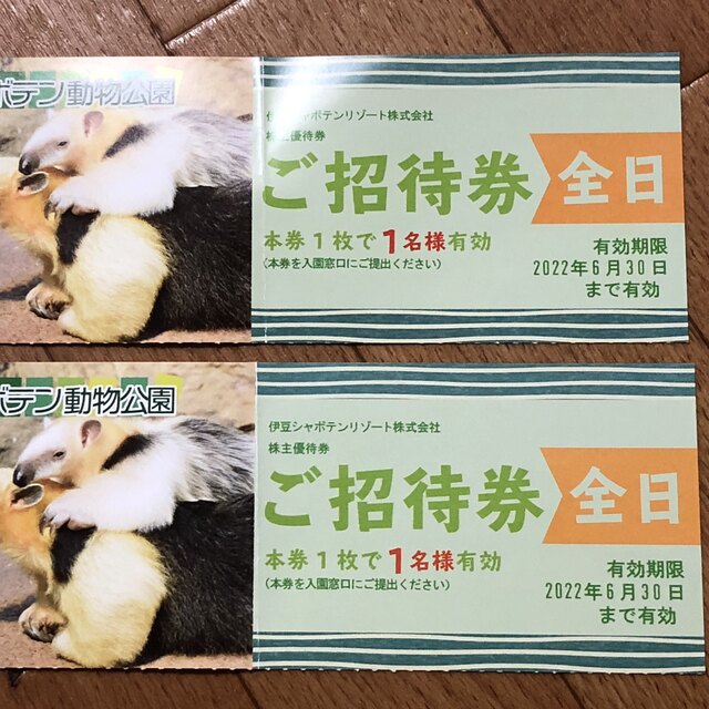 伊豆　シャボテン公園　全日　2枚 チケットの施設利用券(動物園)の商品写真