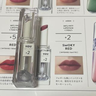 フローフシ(FLOWFUSHI)の試し塗り一度のみ　uzu +2 SMOKY RED(口紅)