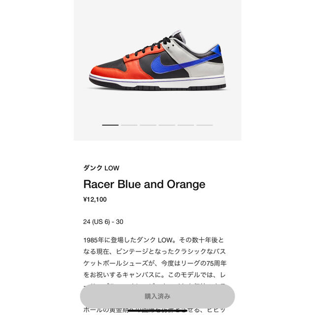 NIKE(ナイキ)のNIKE DUNK LOW RETRO EMB メンズの靴/シューズ(スニーカー)の商品写真