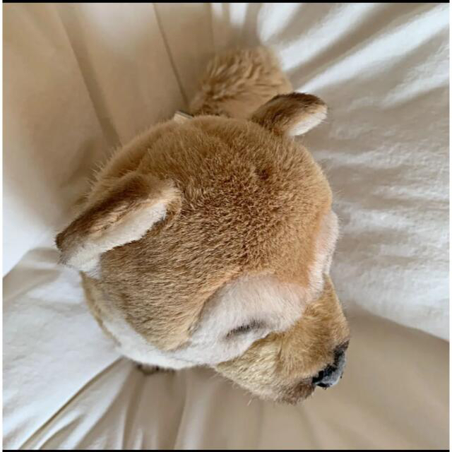 ジョックライン社 小首を傾げる柴犬 ぬいぐるみ 〔イタリア製〕JOCKLINE