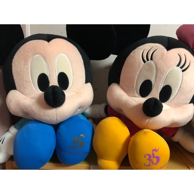 Disney(ディズニー)のディズニーランド カーニバル 景品 ぬいぐるみ キッズ/ベビー/マタニティのおもちゃ(ぬいぐるみ/人形)の商品写真