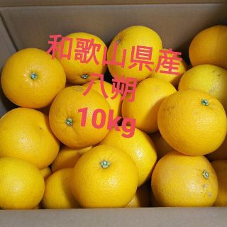 残りわずか！！和歌山県産 八朔 はっさく 10キロ(フルーツ)