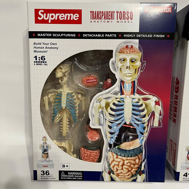 セット送料無料 Supreme 人体模型 男女 2体セット 納品書付き