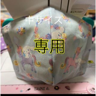 専用 中サイズ 2点(外出用品)