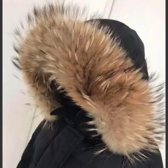 最終値下げ MONCLER GENE ファーフード ダウンジャケットサイズ0