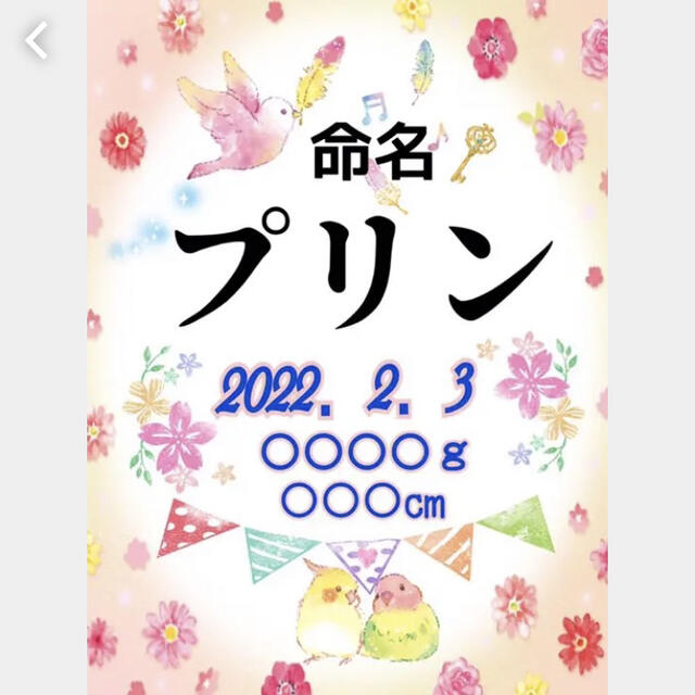 命名書 キッズ/ベビー/マタニティのメモリアル/セレモニー用品(命名紙)の商品写真