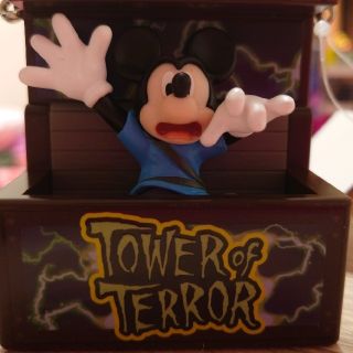 Disney☆ｽﾅｯｸｹｰｽ　✰タワーオブテラー✰