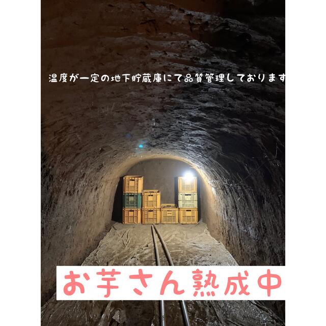 千葉県産サツマイモ　熟成紅はるか　サイズミックス　5kg 食品/飲料/酒の食品(野菜)の商品写真