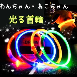 犬猫用　光る首輪　ペット用　夜の散歩　LED　充電式　事故防止　カット調整可能(リード/首輪)