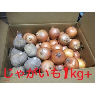 北海道産　ジャガイモ1kg＋タマネギのセット　合計10kg　農家直送(野菜)