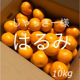 広島県産　はるみ　みかん　10kg    専用品(フルーツ)