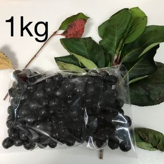 北海道産アロニア冷凍果実　1kg(フルーツ)