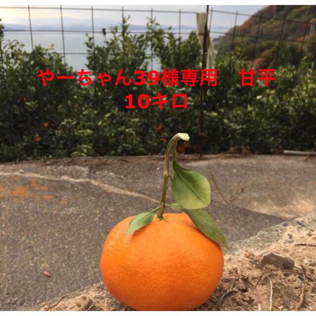 やーちゃん様　甘平　10キロ 食品/飲料/酒の食品(フルーツ)の商品写真